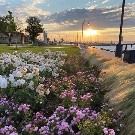 Bauhaus Wellness Otel